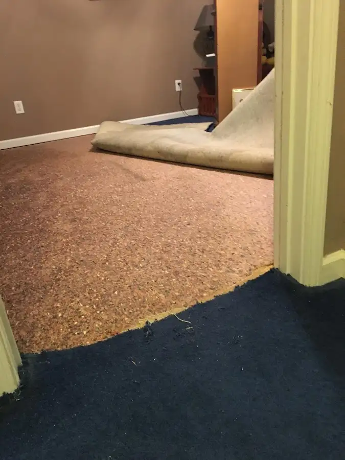 Carpet pad removal revealing water damage during Water Mitigation Services in Troy